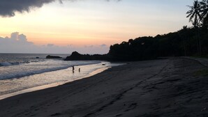 Una playa con huellas que conducen al agua, un afloramiento rocoso y una hilera de palmeras.