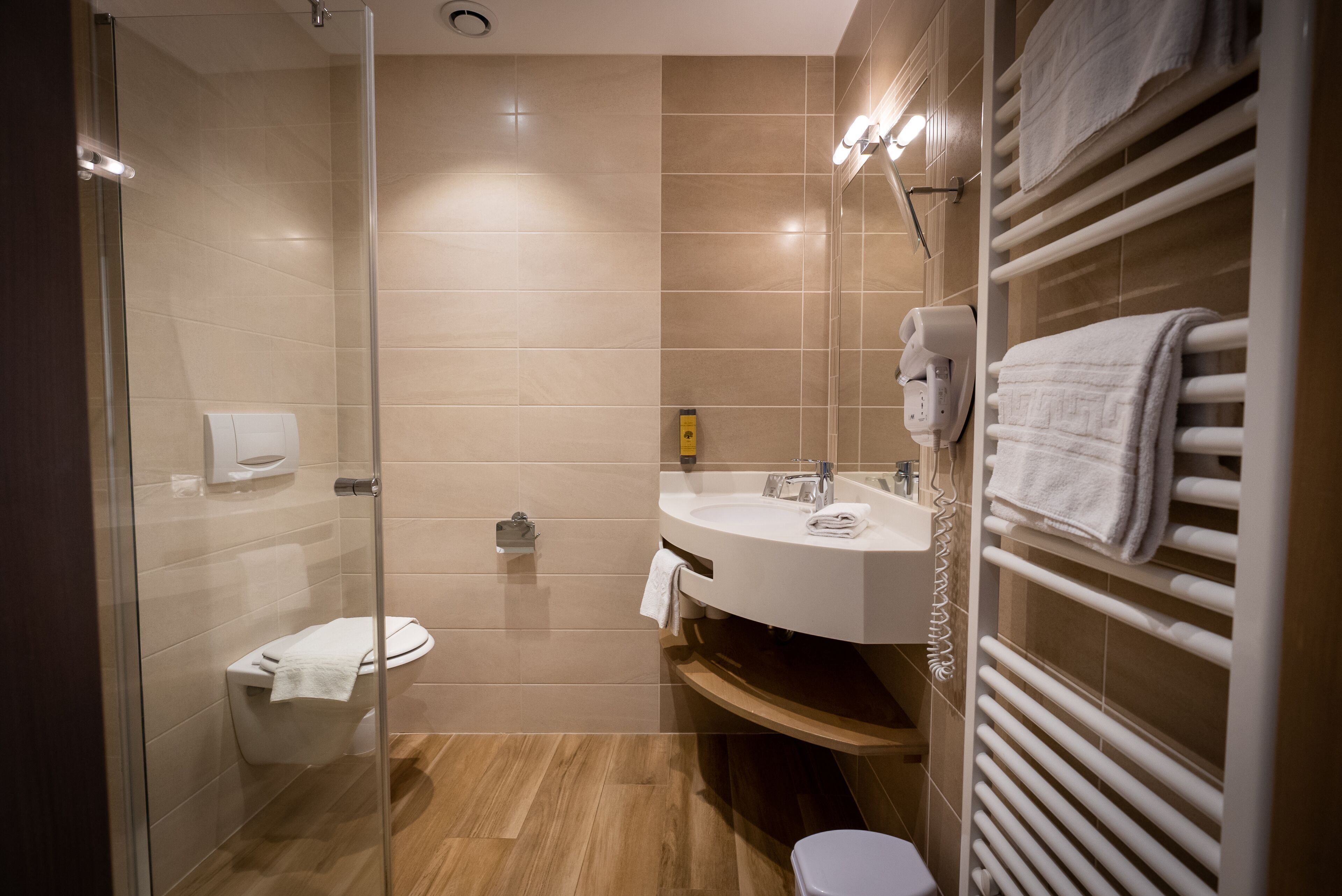 A modern bathroom with a glass shower enclosure, a toilet, a sink with a towel rack, and a heated towel rail.