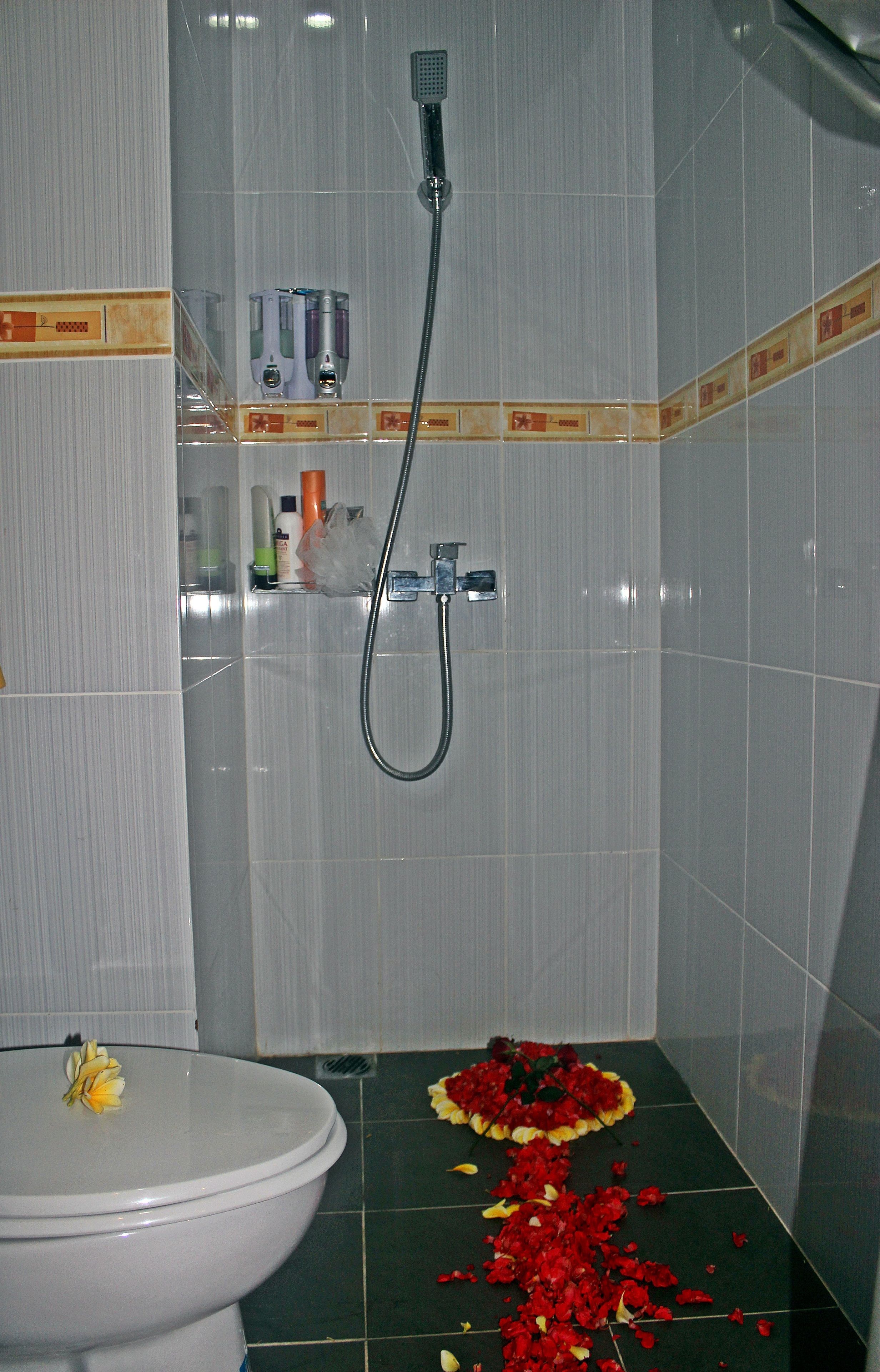 shower, free toiletries, hair dryer, towels