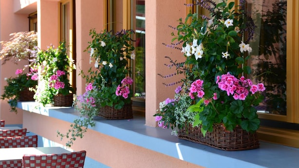 A row of outdoor seating with wicker planters containing flowers. - Hôtel CARRER Le Rhien (Ronchamp)