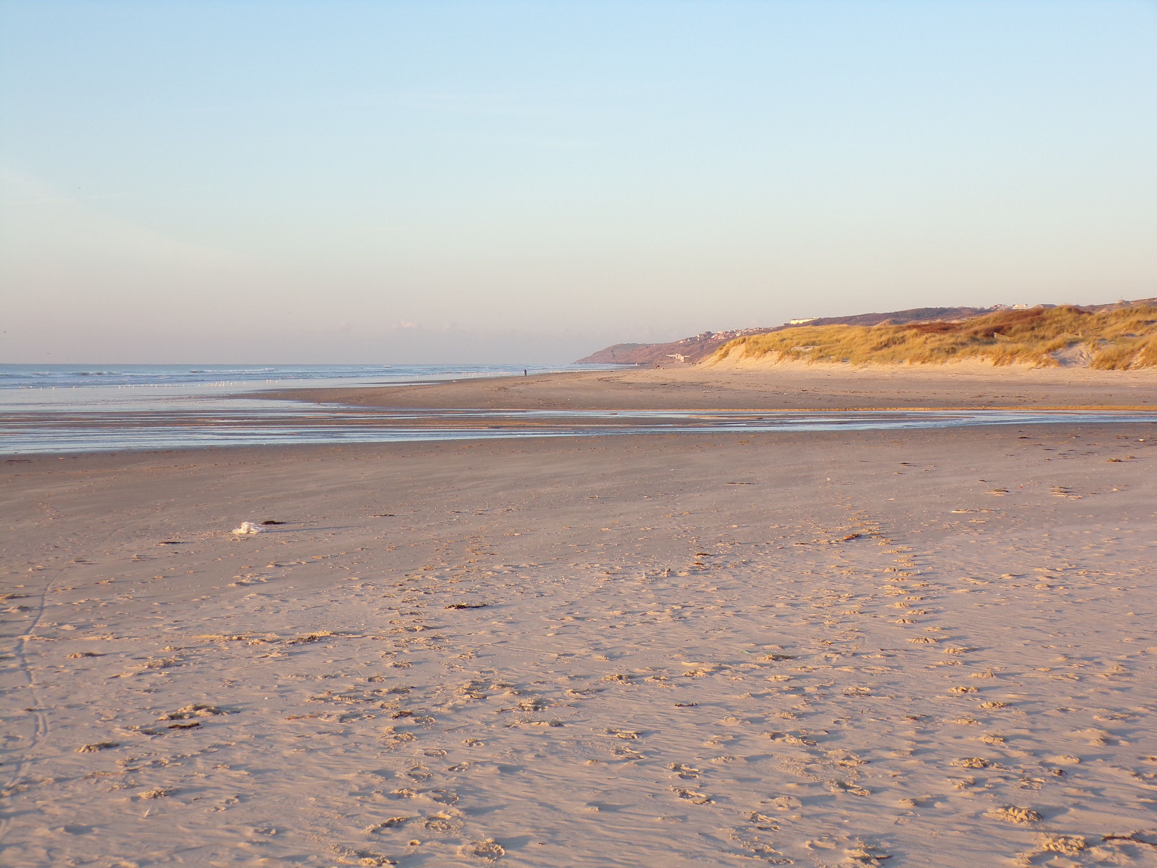 A beach with footprints leading to the water, a clear sky, and distant buildings.