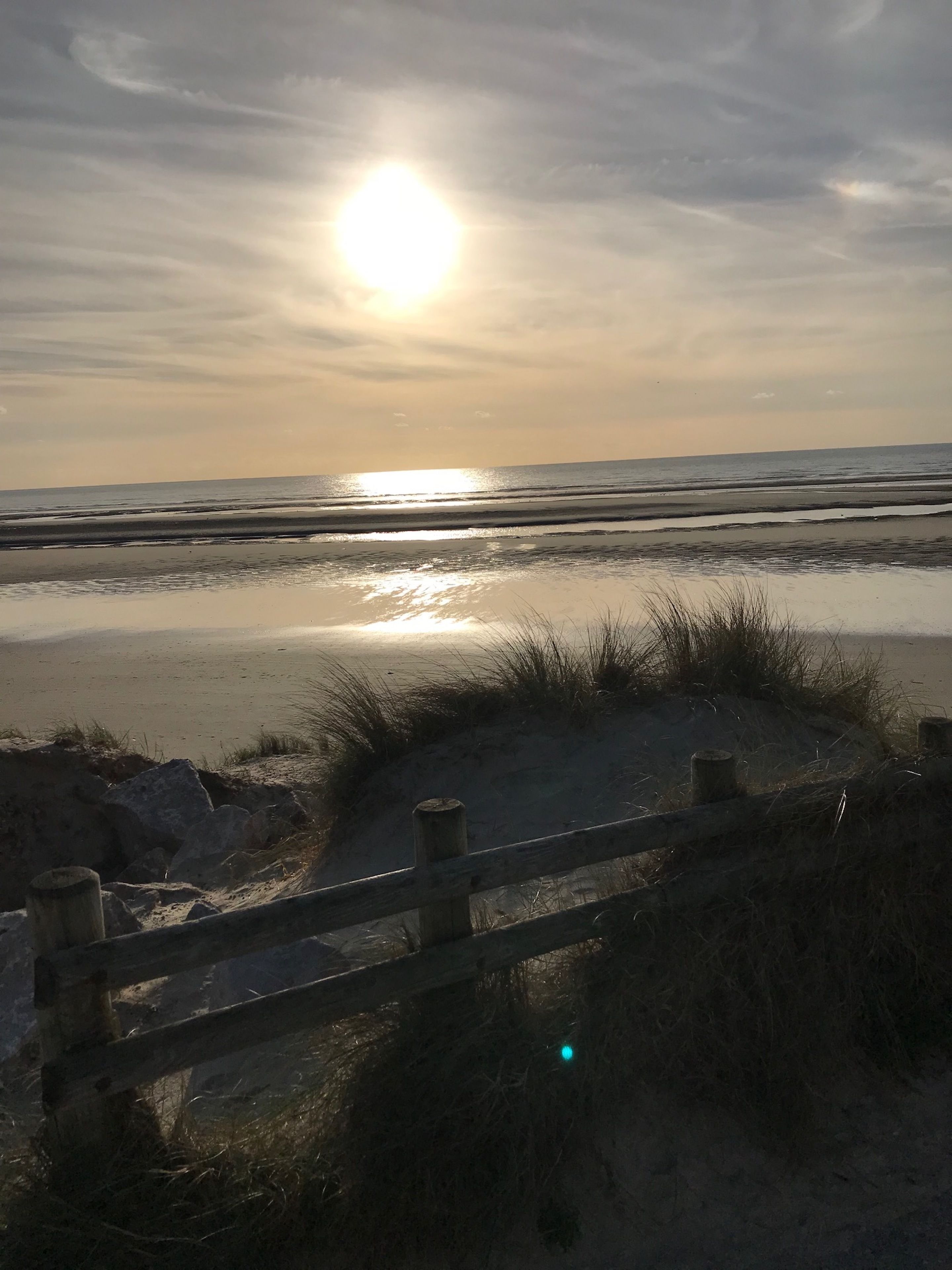 Une scène de plage avec une clôture en bois, du sable et de l’herbe.