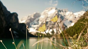A mountain landscape with a lake and snow-capped peaks in the background. - Hotel Trenker (Braies)