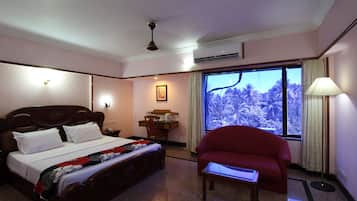 Luxury Deluxe AC | View from room