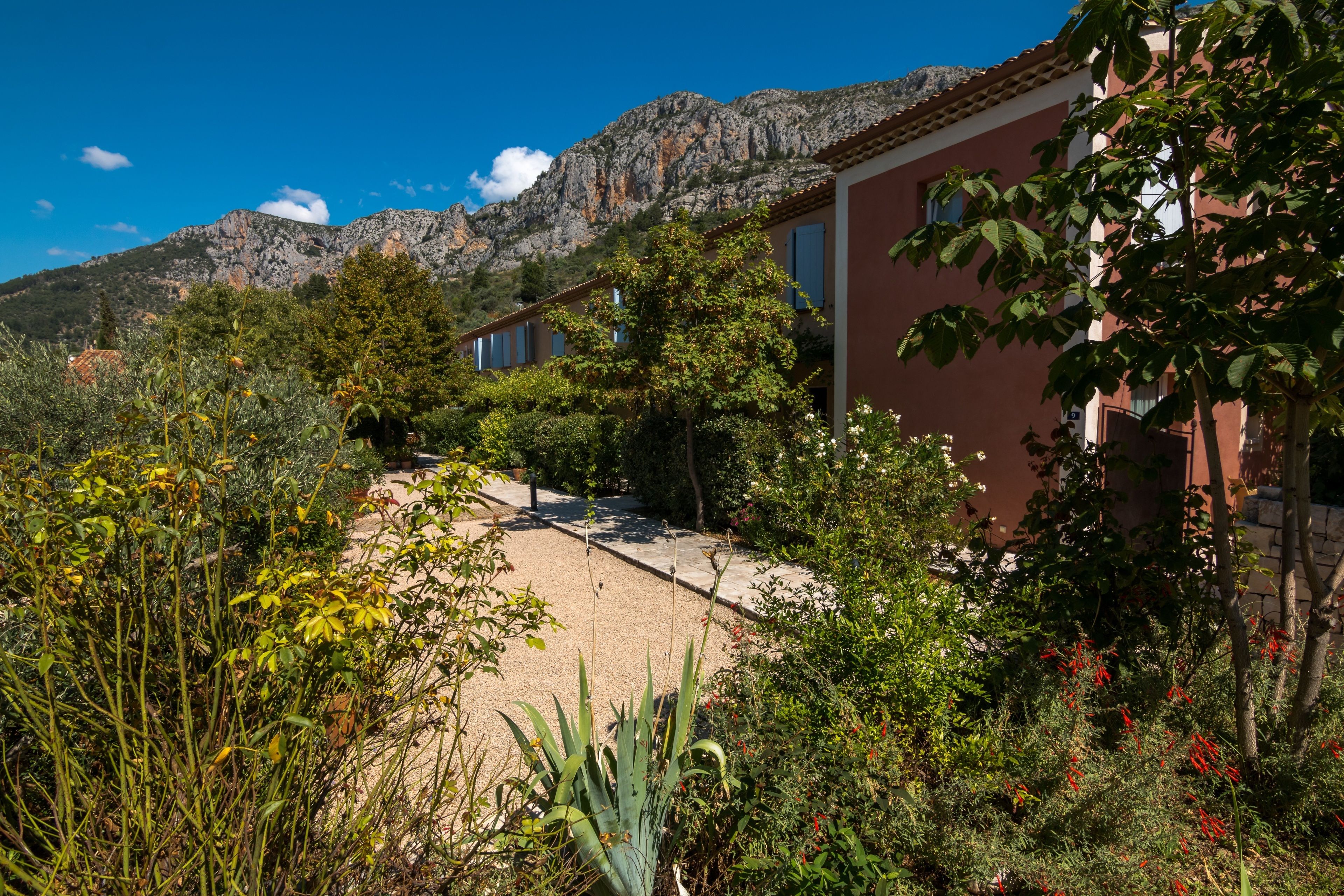 double room | garden view