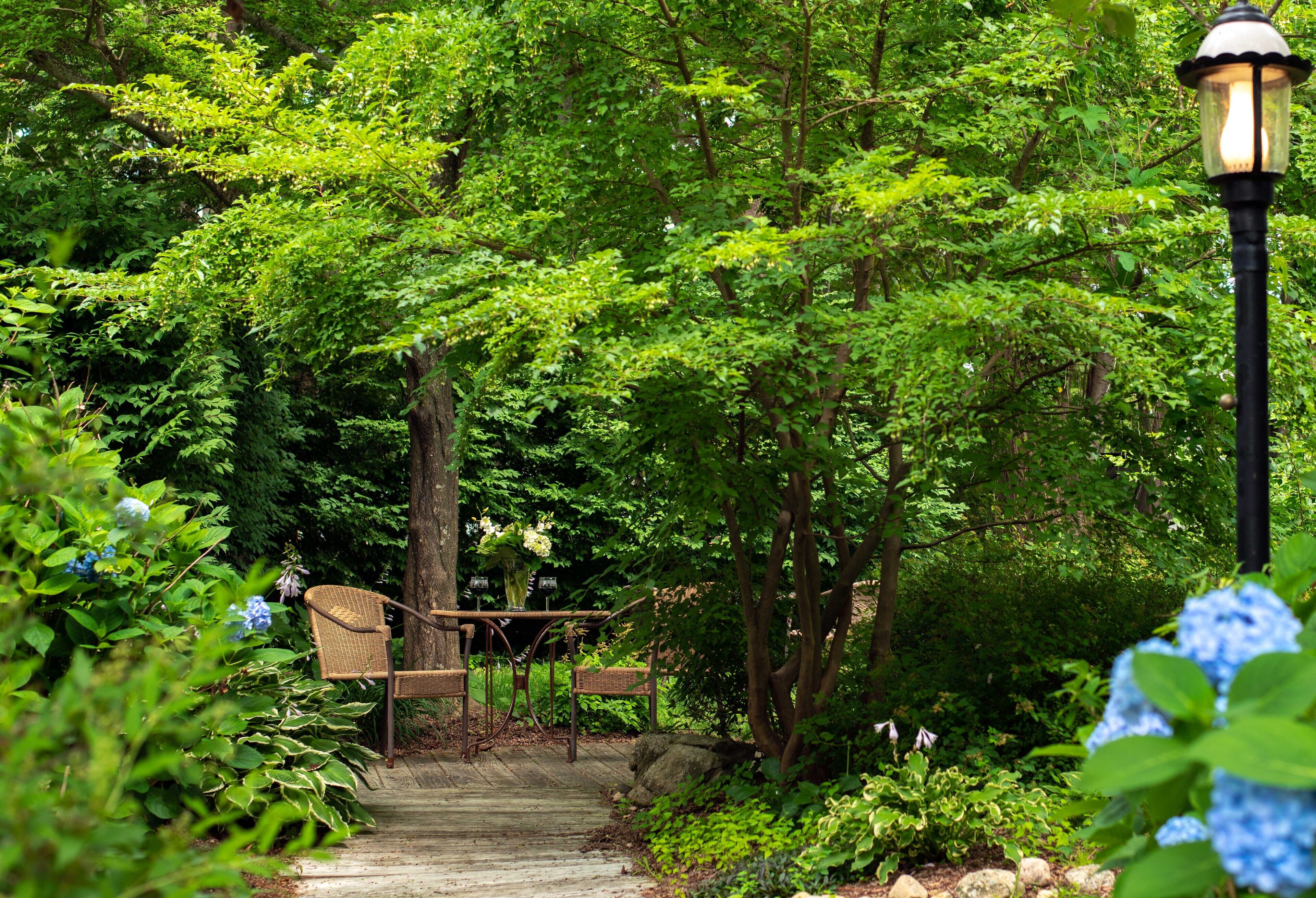Un sentier qui traverse un jardin luxuriant, avec un banc en bois et un lampadaire.