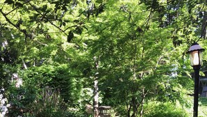 A wooden pathway in a lush garden with a lamp post and a distant structure.