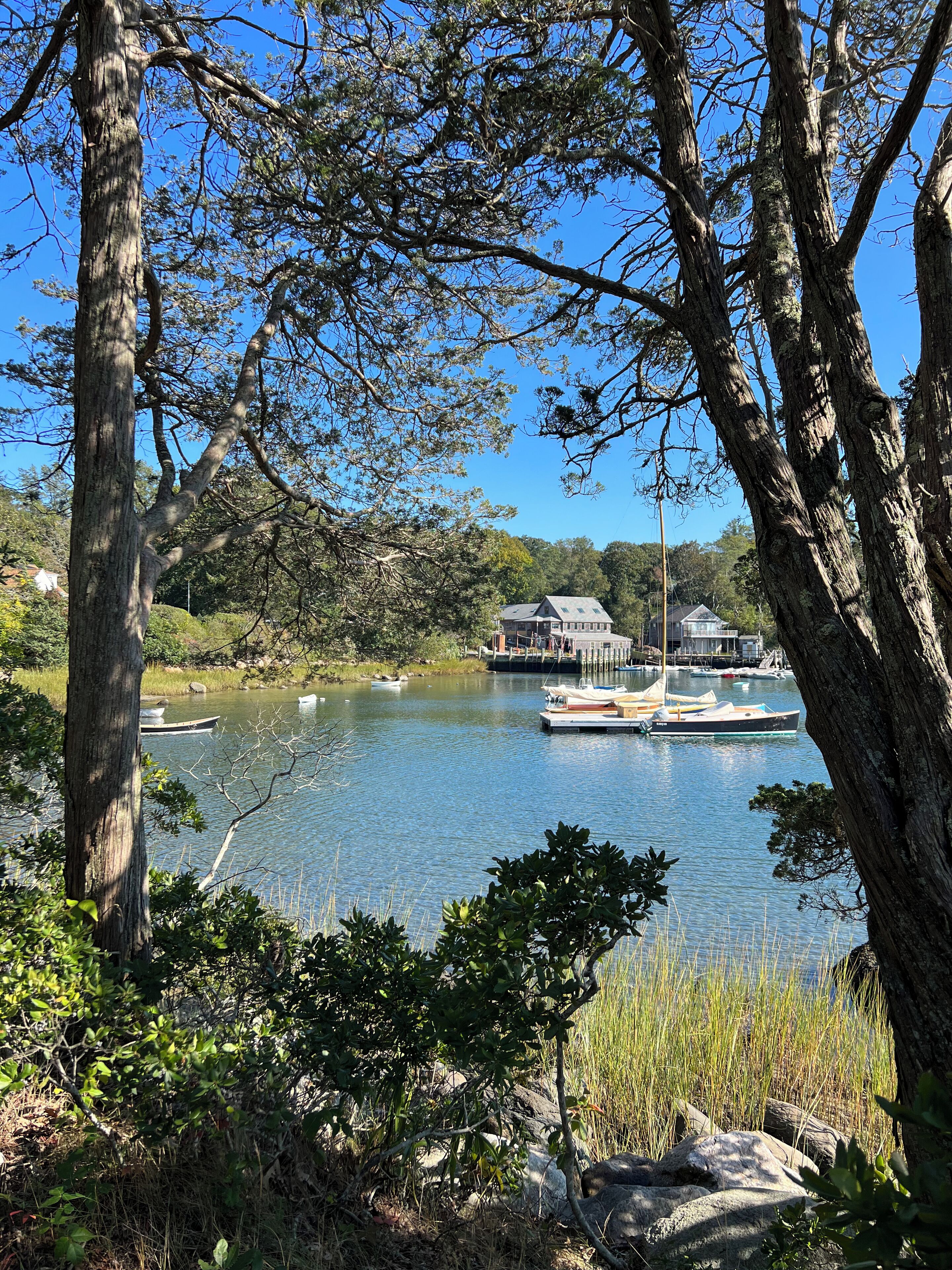 Foto - The Palmer House Inn