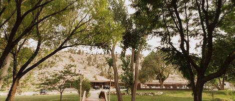A pathway leading to a building surrounded by trees and a grassy area.
