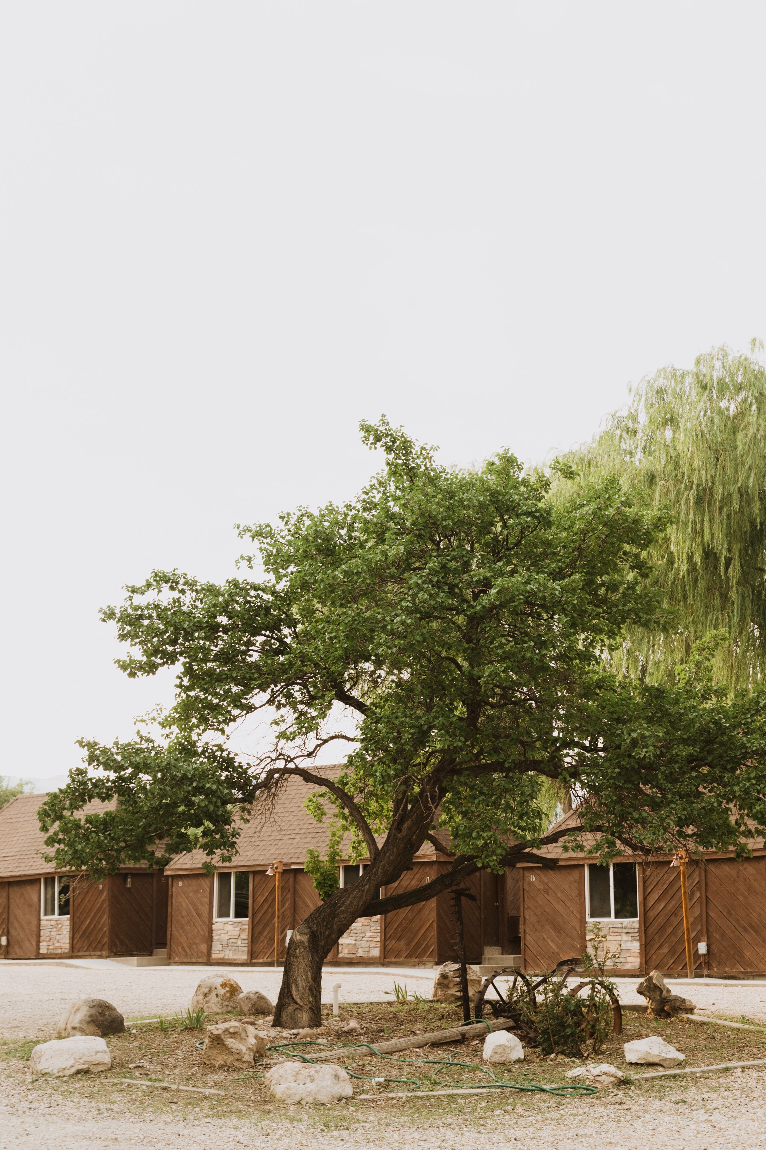 A building with a large tree in front.