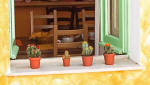 A window with three potted cacti on a windowsill, a painting on the wall, and a hanging lamp.