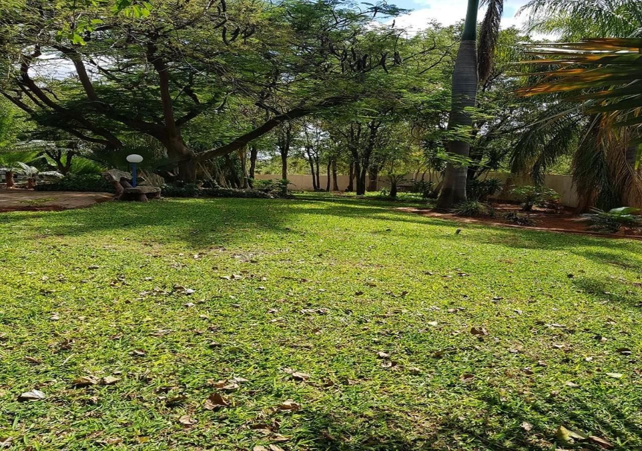 A grassy area with trees and a lamp post.