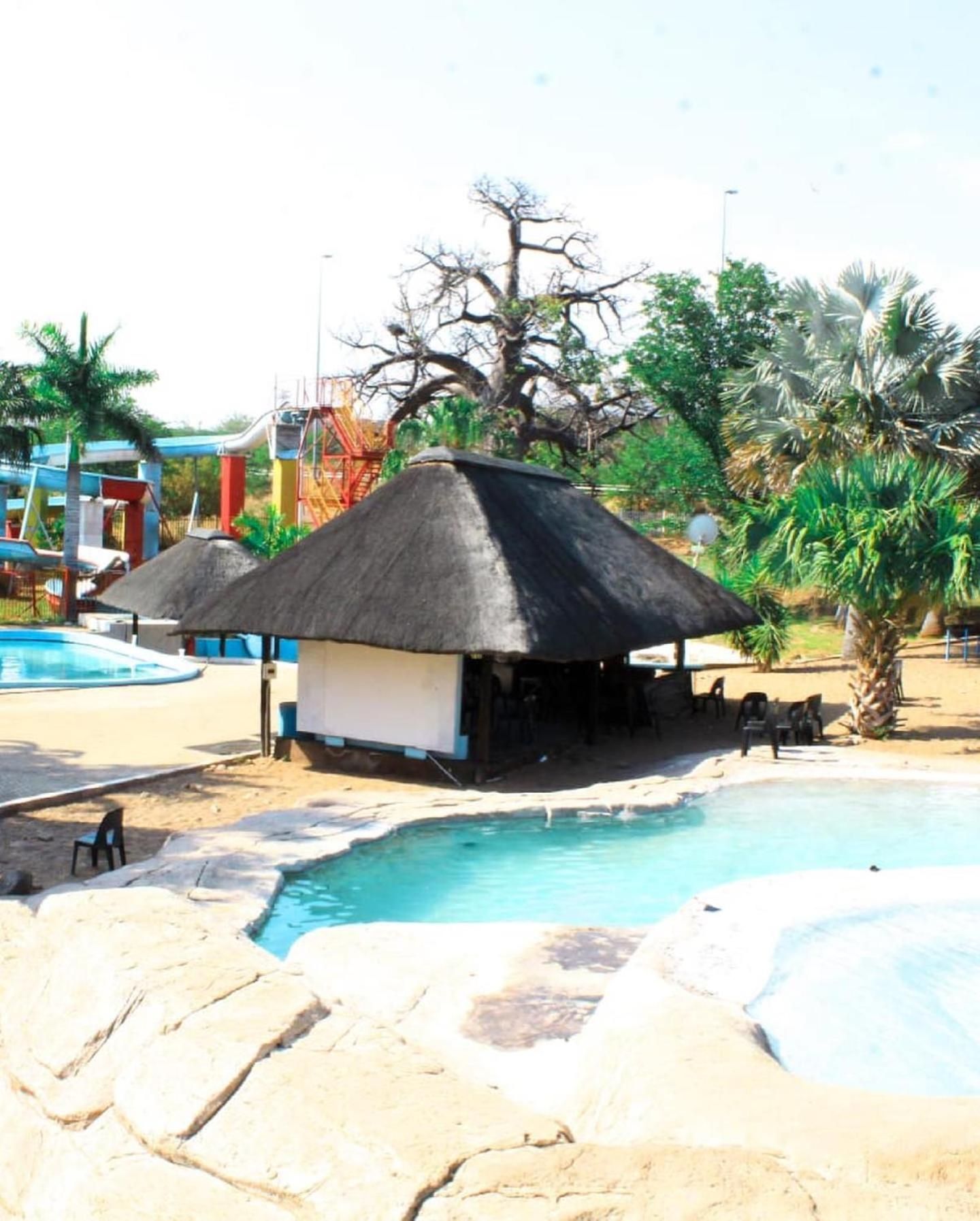 A pool area with a thatched-roof hut and palm trees.