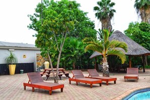 Outdoor pool, pool umbrellas, sun loungers - Musina Hotel (Musina)