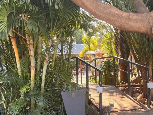 A pathway with metal railings, surrounded by lush green palm trees and bamboo plants.