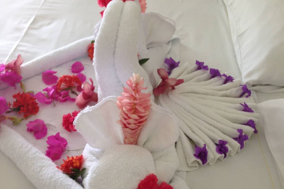 Una cama bien tendida con sábanas blancas, flores rosadas y rojas, y una decoración de toallas.