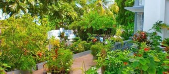 Palm View Guesthouse and Conference Centre