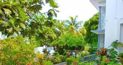 Palm View Guesthouse and Conference Centre