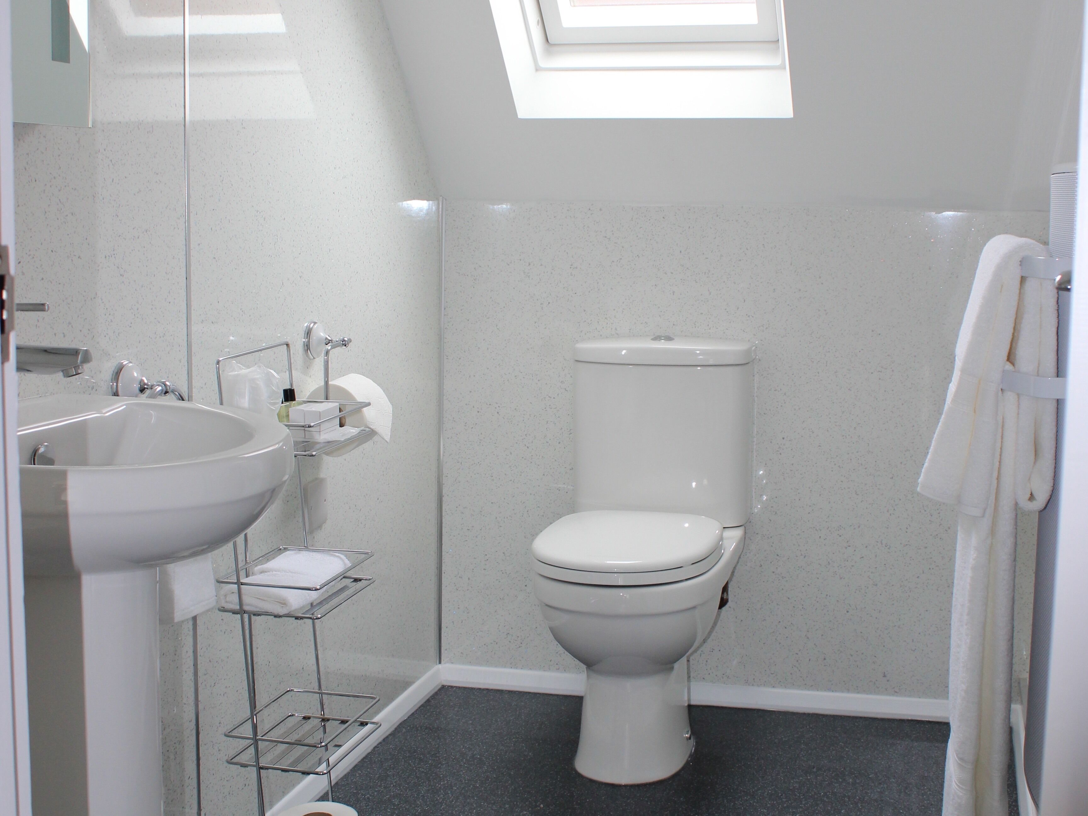 premier suite, ensuite | bathroom