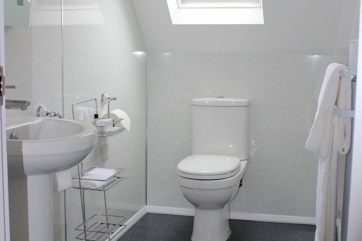 premier suite, ensuite | bathroom