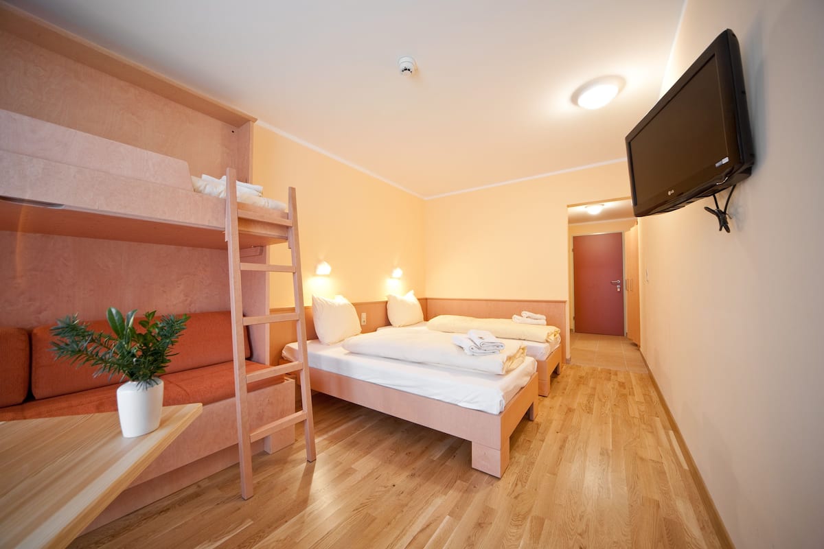 Habitación de hotel compacta con literas, televisión, lámparas de noche y una planta en maceta.