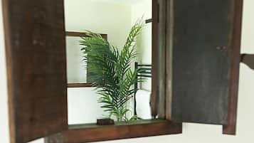 Un baño con un espejo de marco de madera, un lavabo negro y una planta verde.