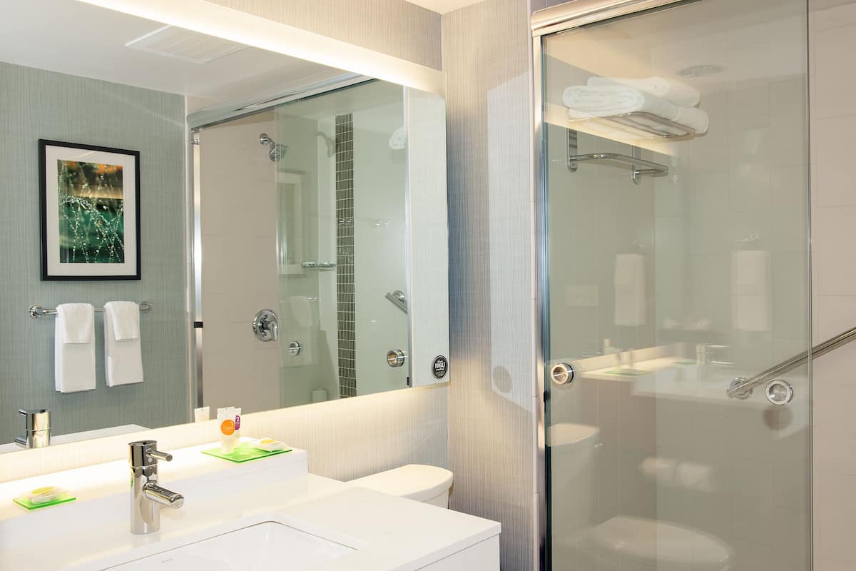 designer toiletries, hair dryer, towels, soap