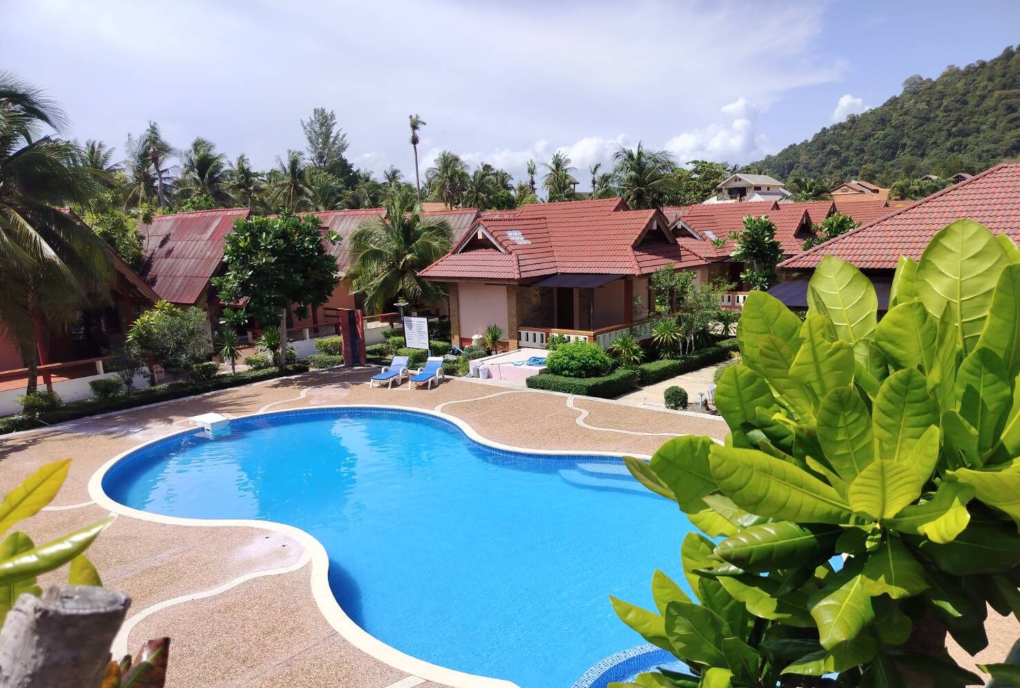 Un resort con piscina, sillas de descanso y vegetación tropical.