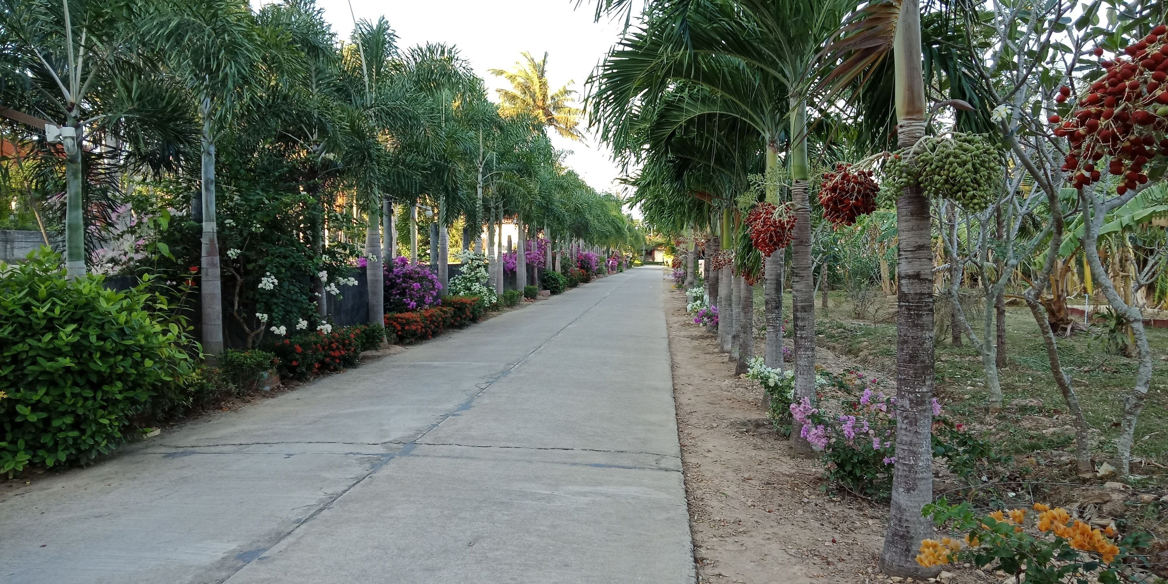 Foto - D.R. Lanta Bay Resort