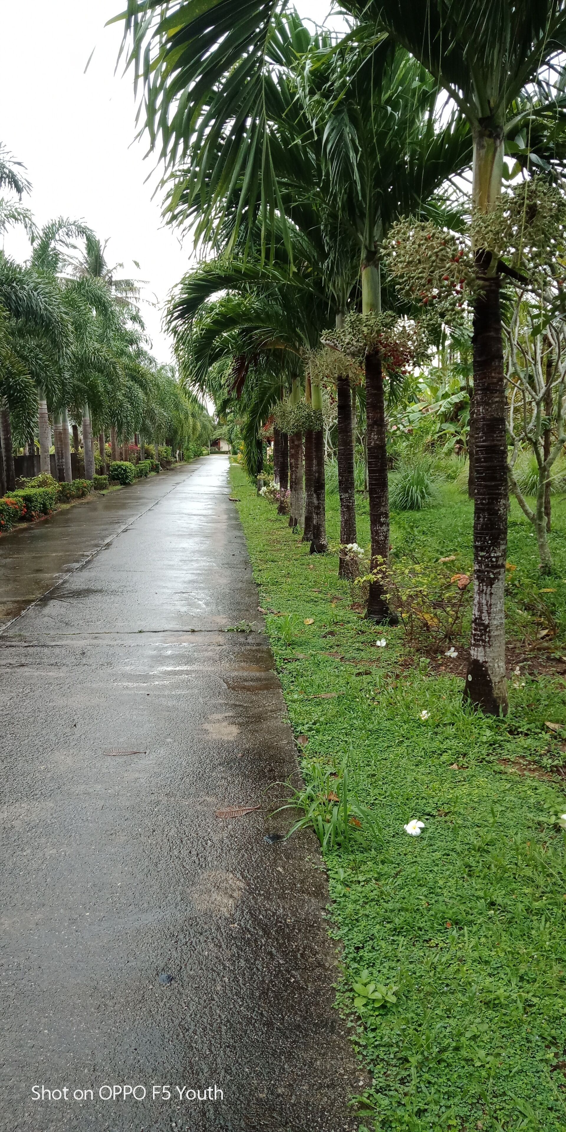 Foto - D.R. Lanta Bay Resort