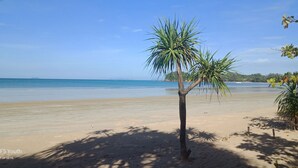 Una spiaggia con una palma e cielo azzurro intenso.