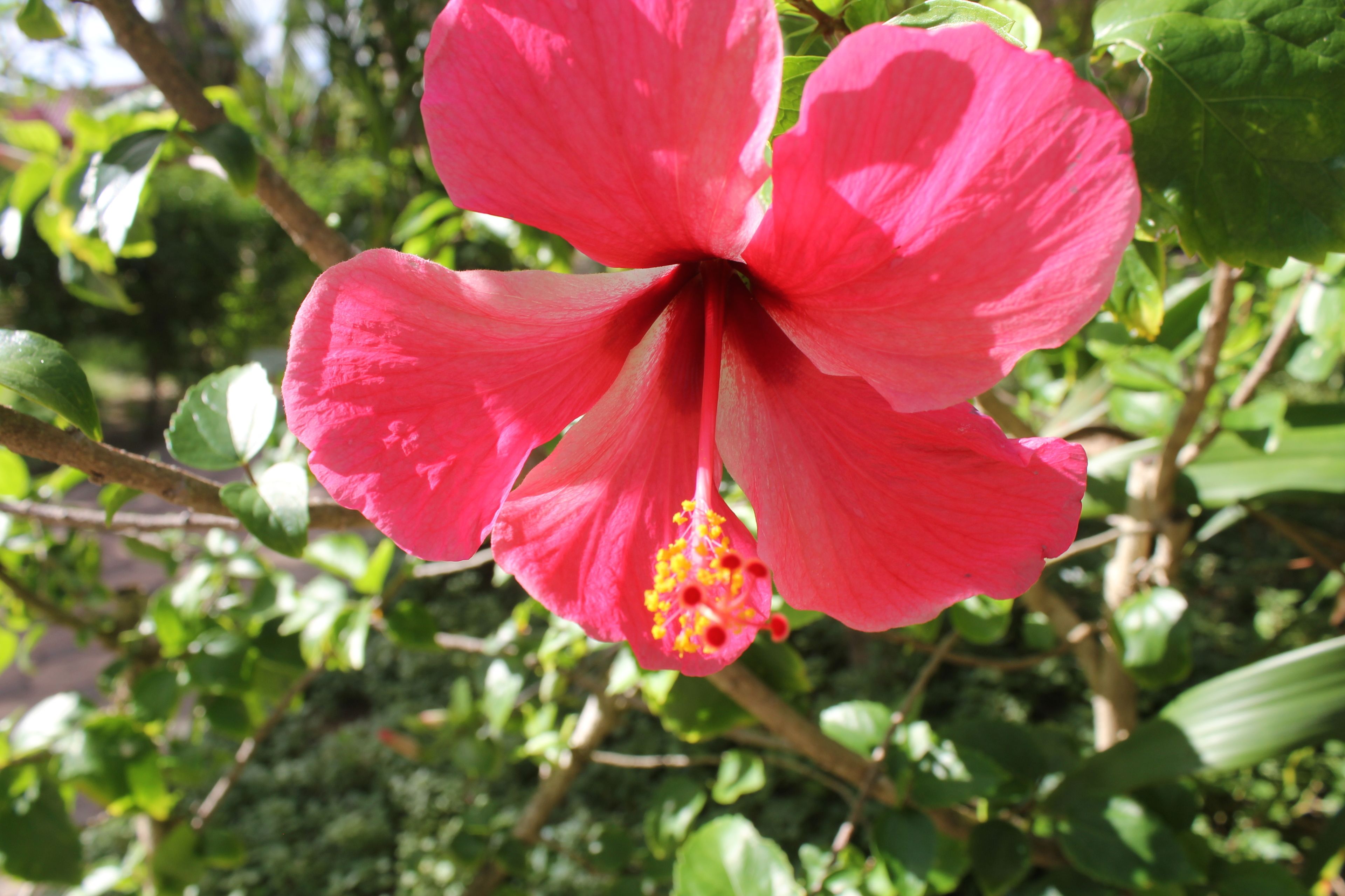 Foto - D.R. Lanta Bay Resort