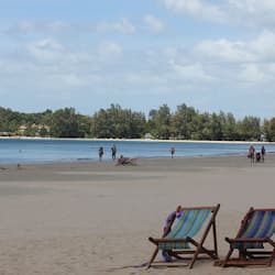 Plage, chaises longues, bar de plage