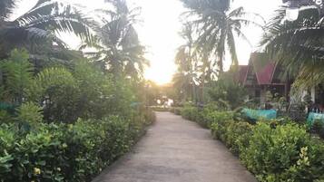 A pathway flanked by lush greenery and palm trees, leading towards a building with a red roof.