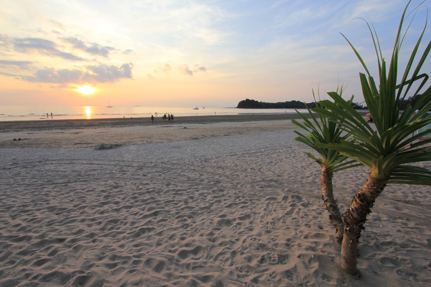 A beach with sand, palm trees, and a sunset.