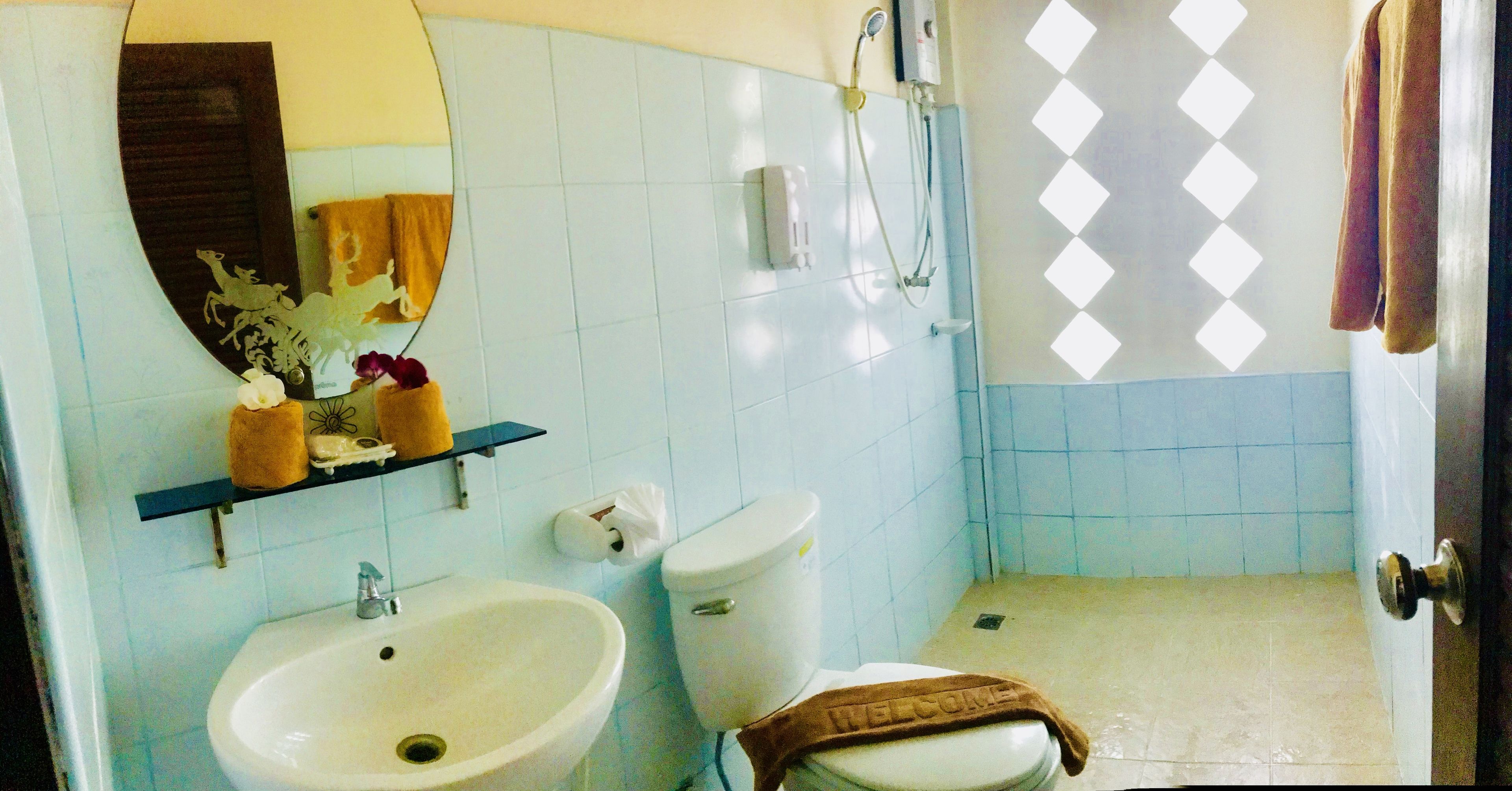 deluxe room | bathroom | shower, free toiletries, hair dryer, towels