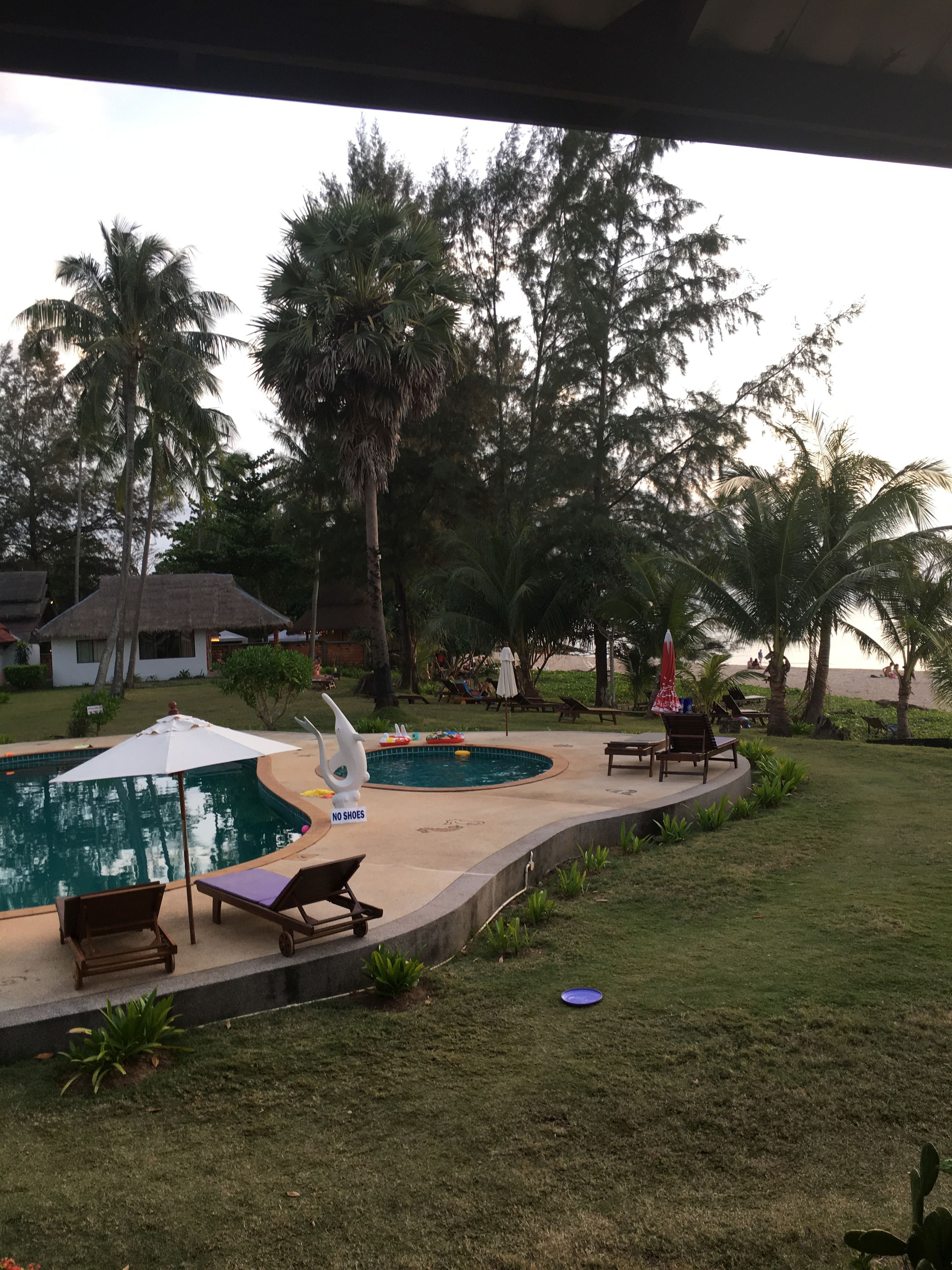 A pool area with lounge chairs and umbrellas, surrounded by palm trees and a grassy lawn.