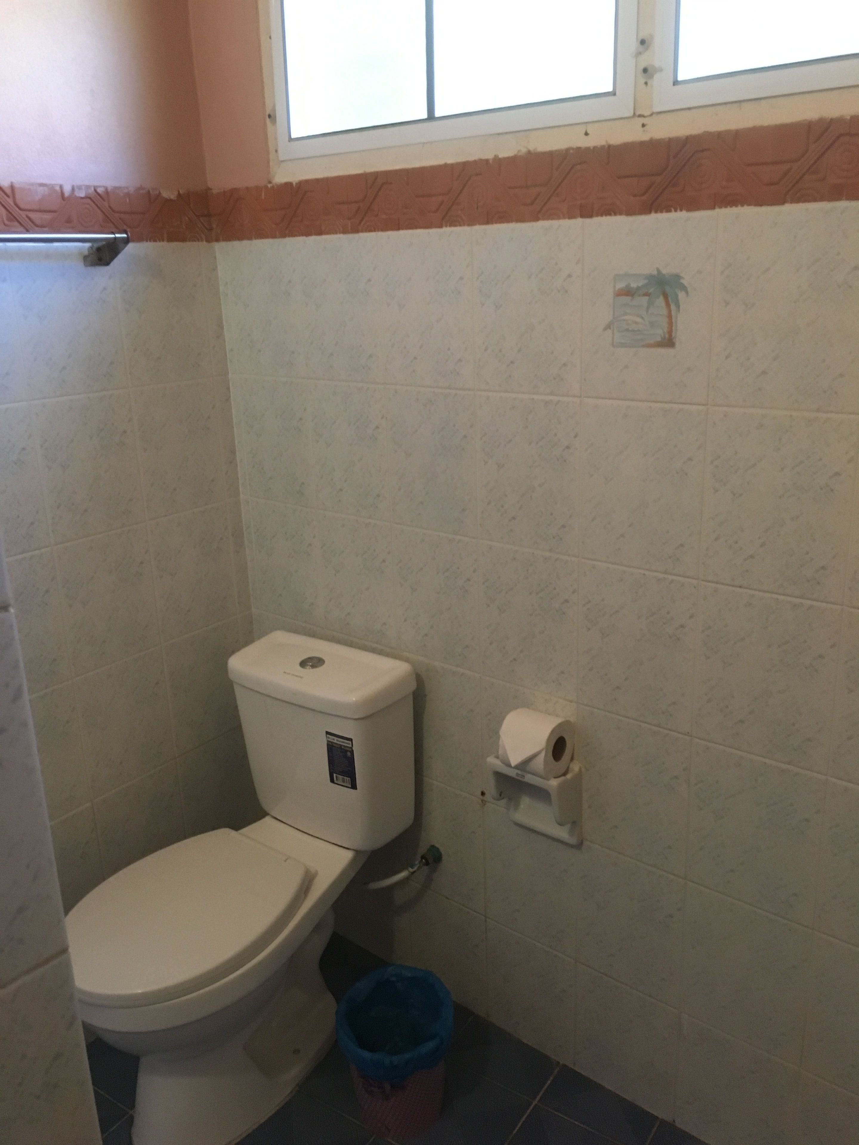Un bany petit amb un vàter, un dispensador de tovallons de paper i un paperer blau.