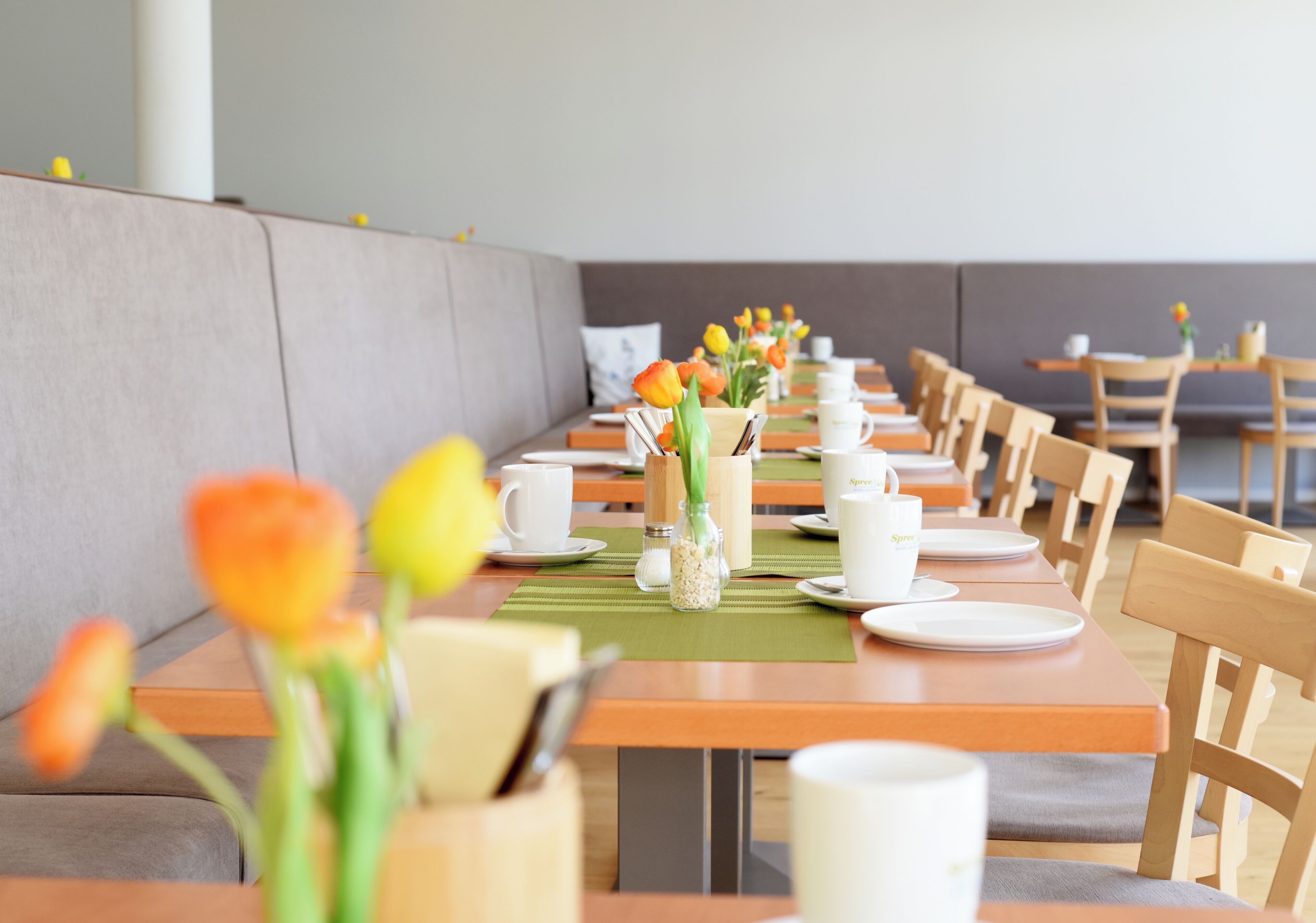 Une longue table à manger entourée de chaises, un vase rempli de fleurs et des tasses et soucoupes blanches.