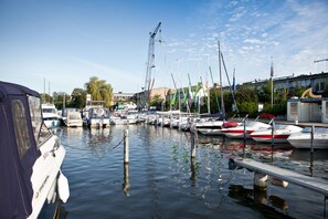Botes de remos