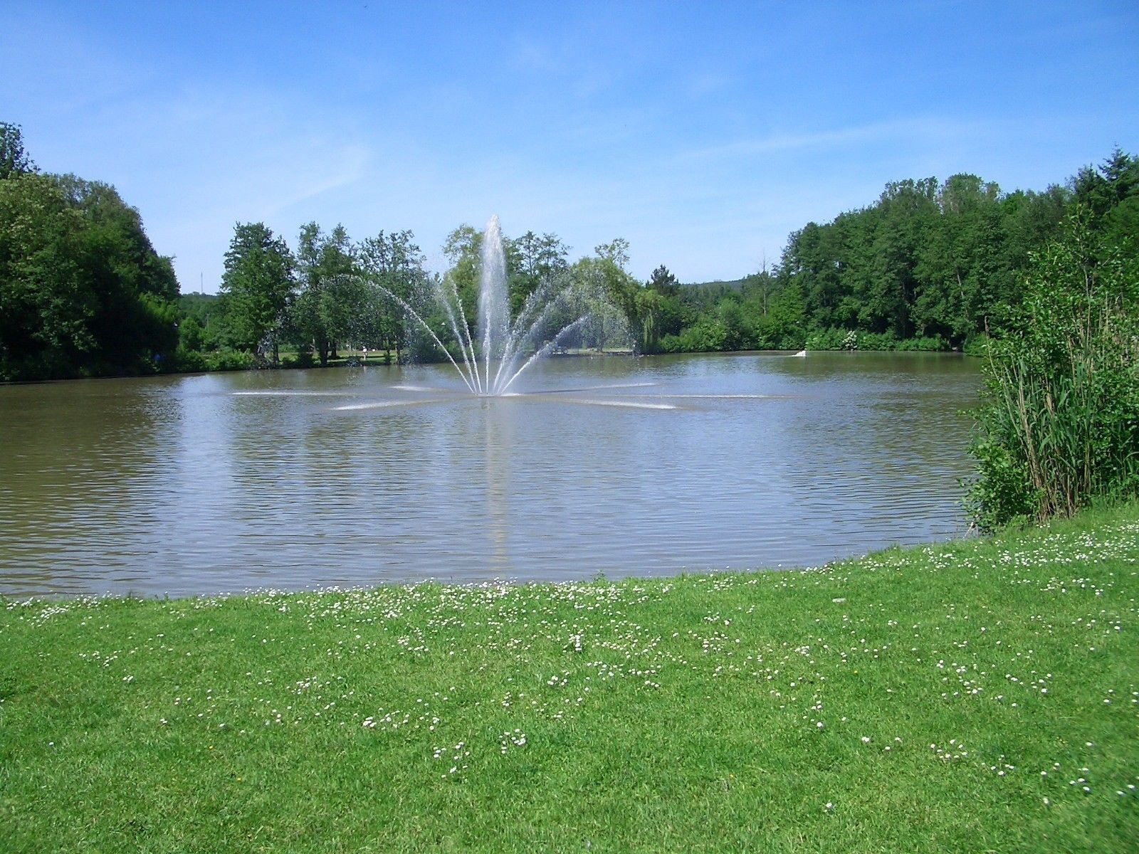 A tranquil lake with a central fountain, surrounded by lush greenery and a grassy foreground.