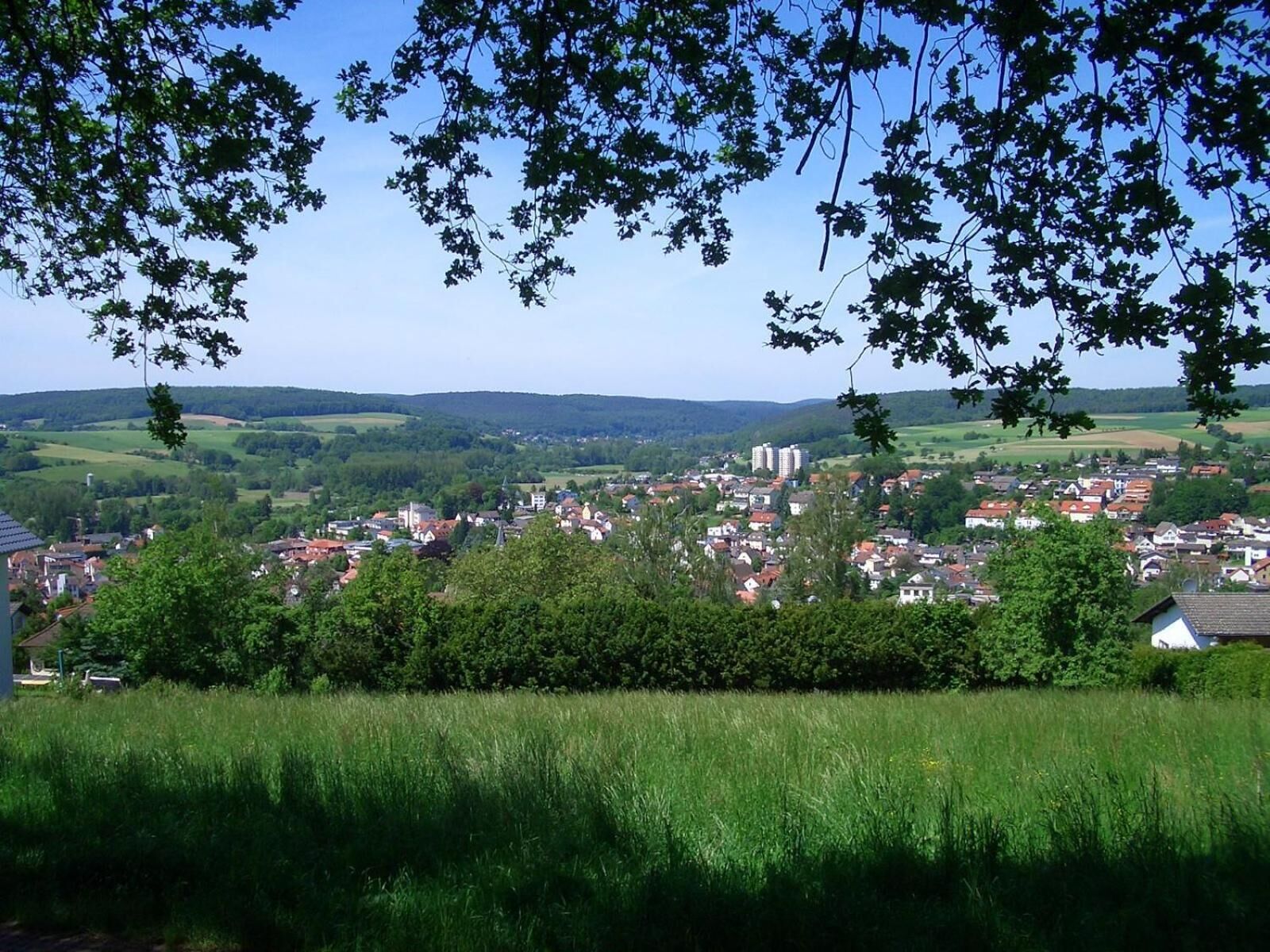 A town with a mix of residential and commercial buildings, surrounded by green fields and hills.