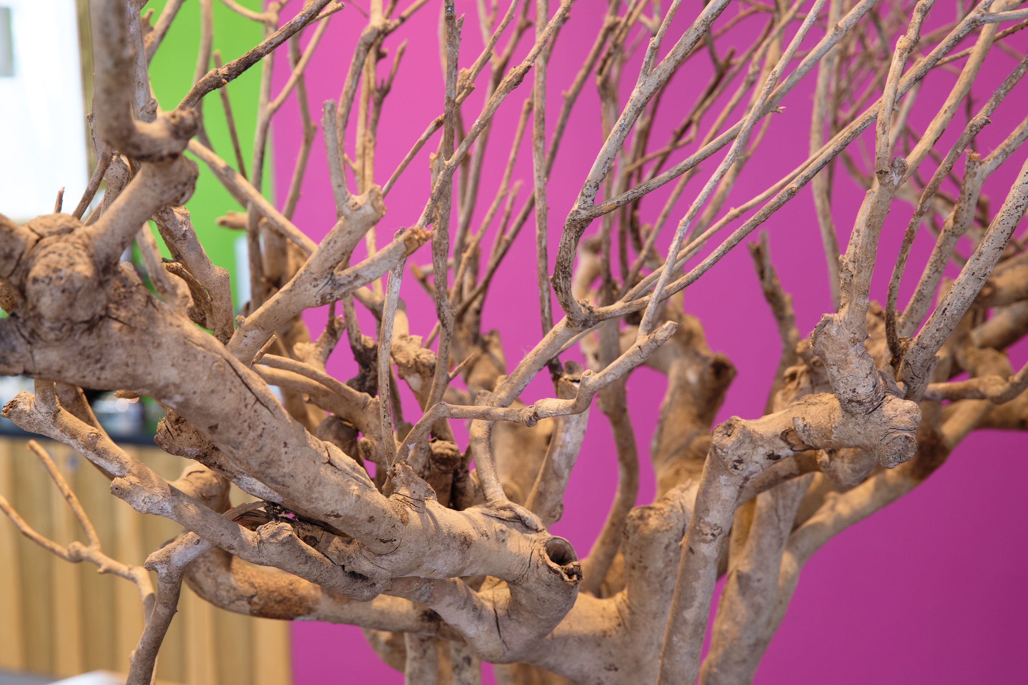 Photo - AMH Airport-Messe-Hotel Stuttgart