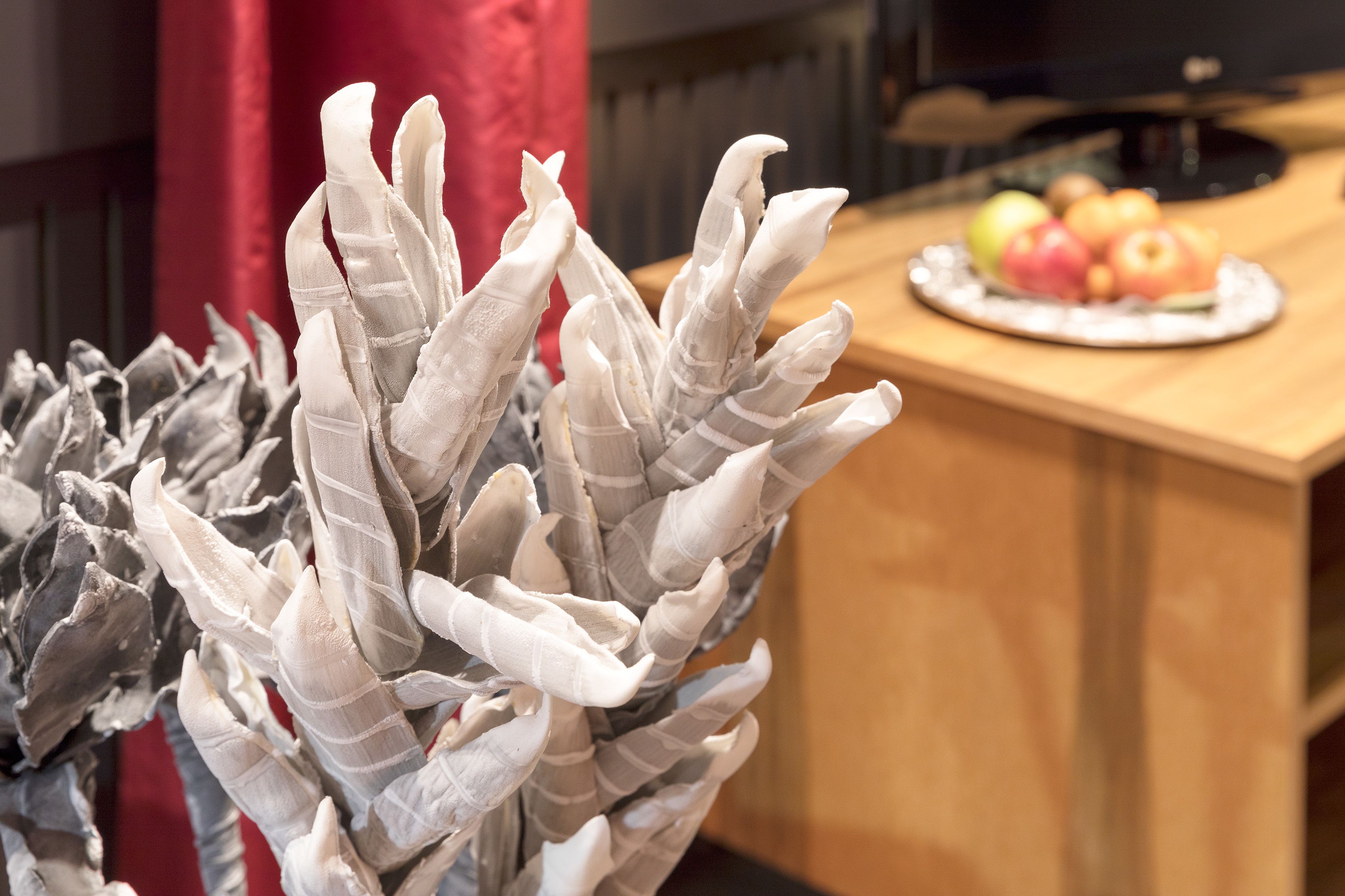 Primer pla d'una planta decorativa amb fulles blanques, un taulell de fusta amb un plat de fruita i una cortina vermella al fons.