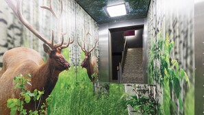 A room with a mural of deer and forest scenery, a staircase, and a door leading to another area. - AMH Airport-Messe-Hotel (Filderstadt)