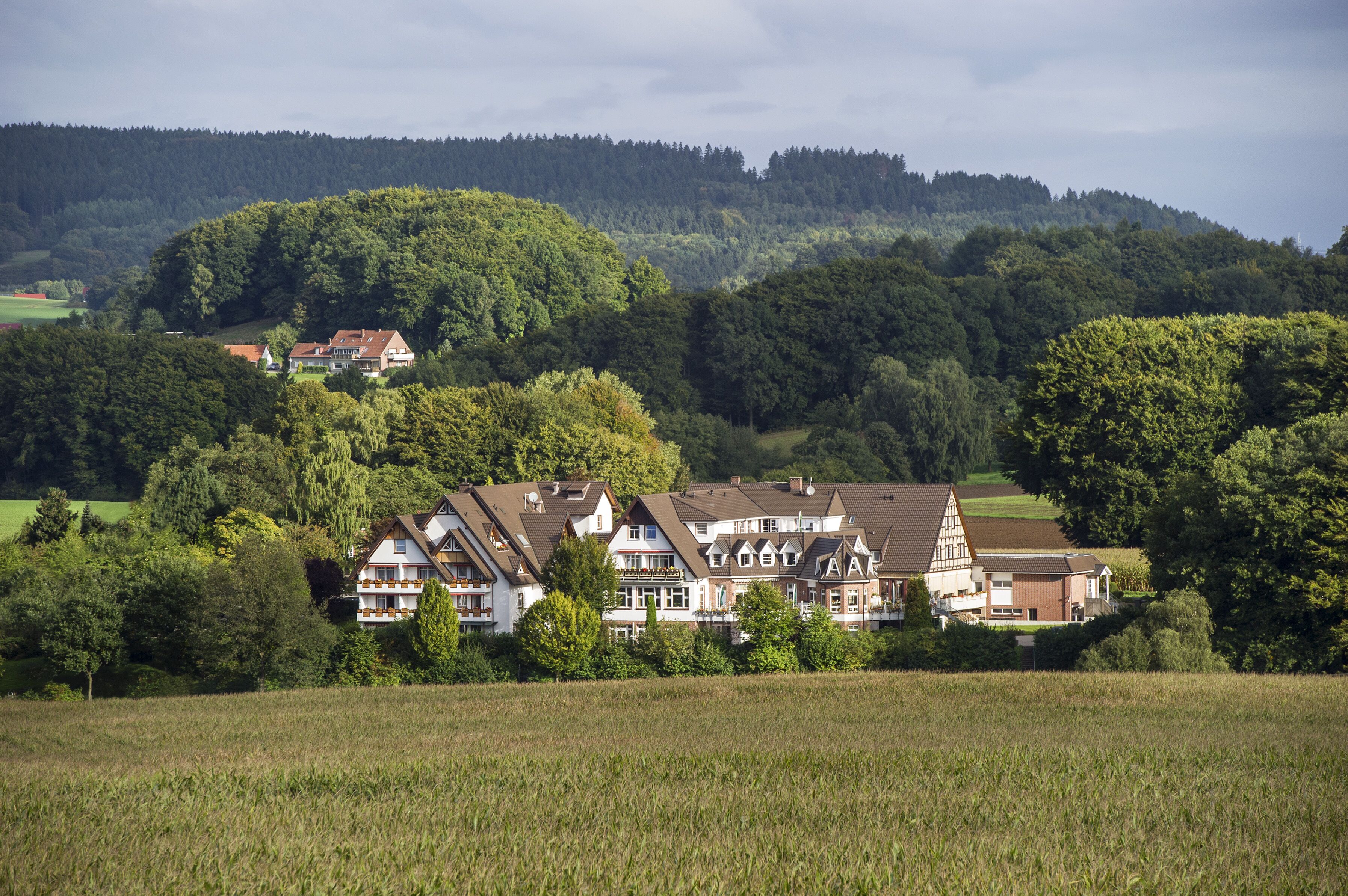A row of traditional houses with sloped roofs, surrounded by lush greenery and fields.