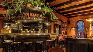 Un espace bar avec des tabourets, un comptoir avec des bouteilles et des plantes suspendues.