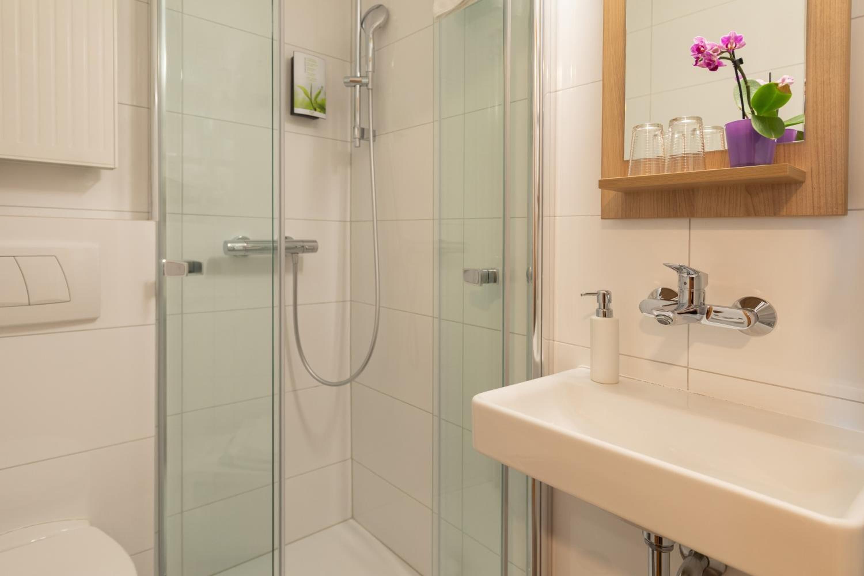 shower, free toiletries, hair dryer, towels