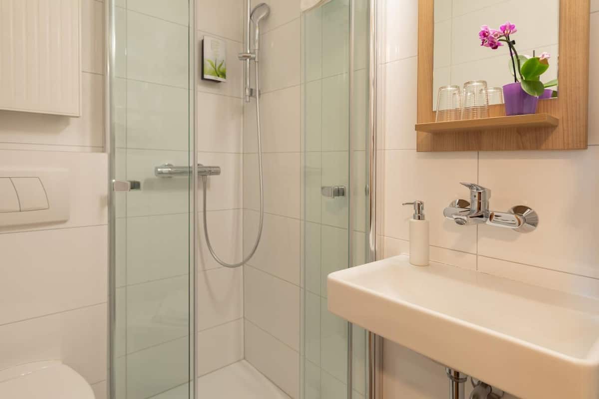 shower, free toiletries, hair dryer, towels