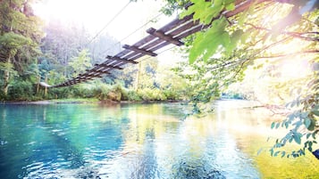 A wooden bridge over a clear river surrounded by dense forest.